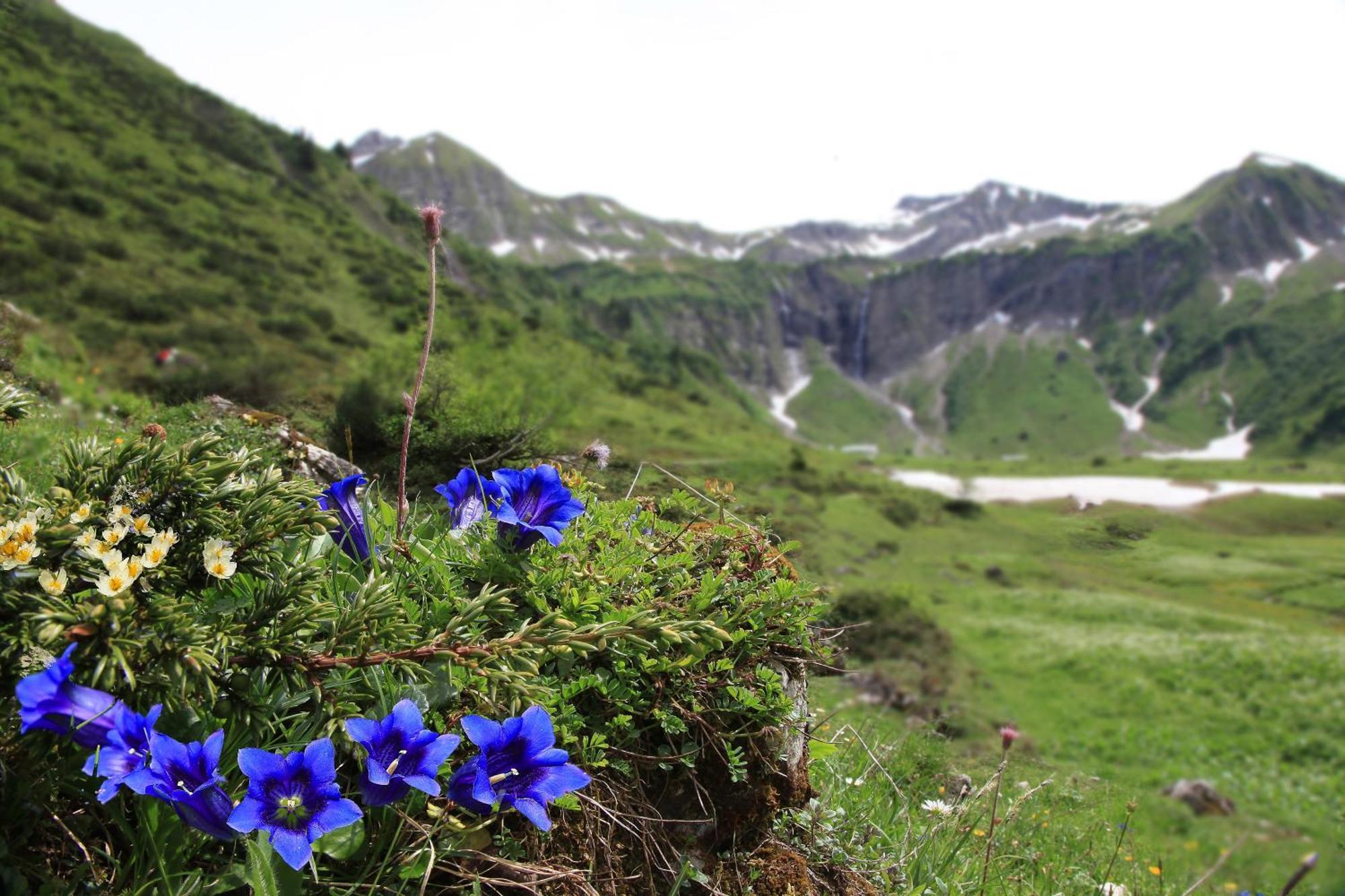 Brunnenhof Oberstdorf - Ferienwohnungen Mit Hotel Service Экстерьер фото