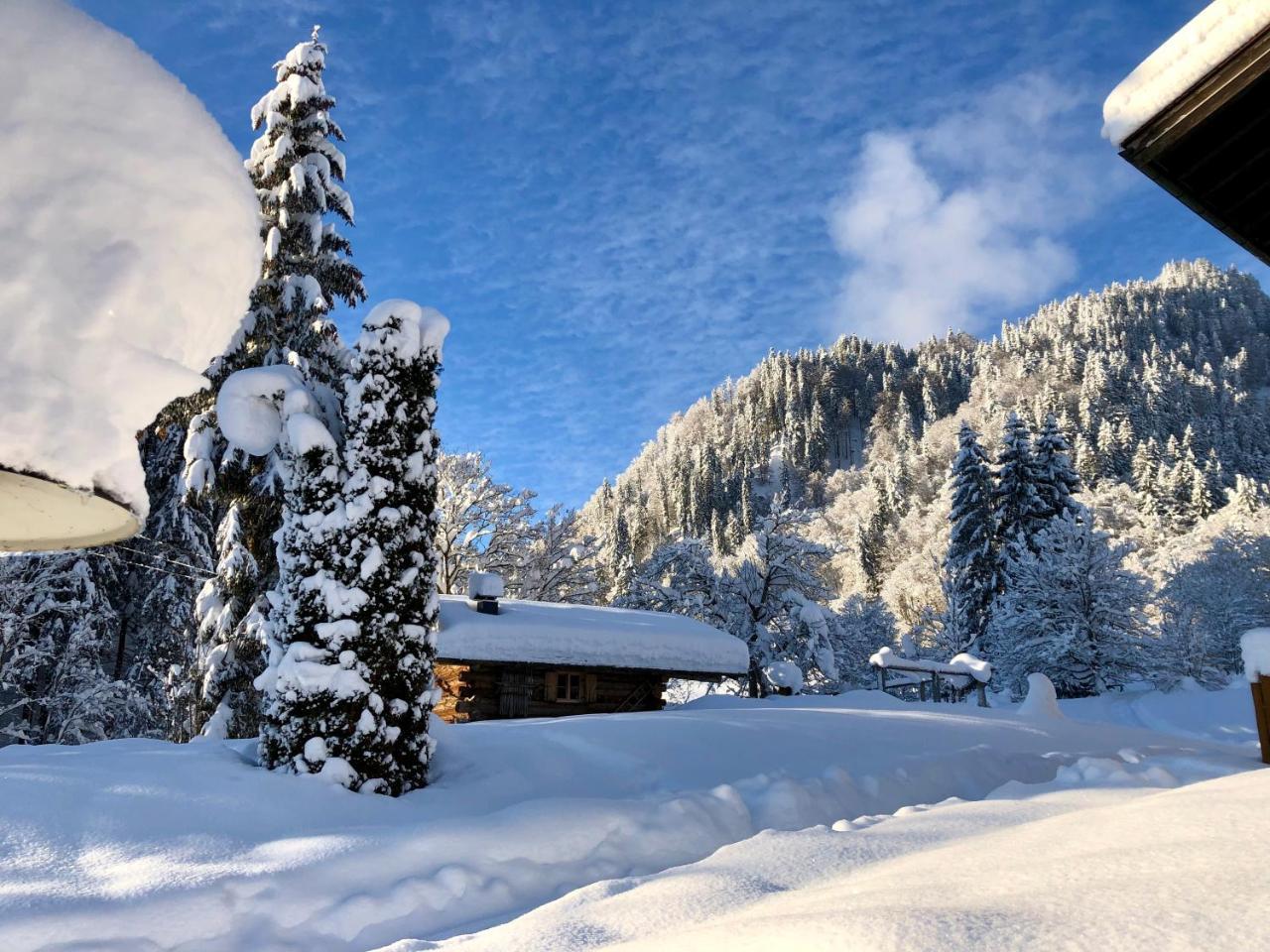 Brunnenhof Oberstdorf - Ferienwohnungen Mit Hotel Service Экстерьер фото